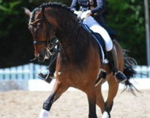 Andrea Timpe on Rosselini G