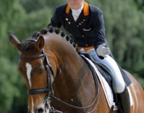 Inge Verbeek on Quidor