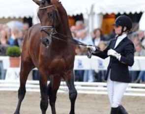 4-year old riding horse champion Laetare (by Lord Loxley) with Eva Möller