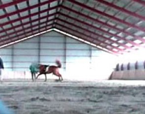 Christine W. abusing a horse by wipping him continuously on the lunge line