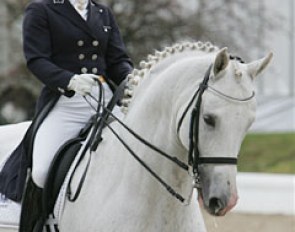 Jeannette Haazen on the Belgian warmblood stallion Quicksilver (Latano x Touch of Fairway xx)