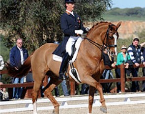 Carl Hester and Dolendo at the 2008 Sunshine Tour