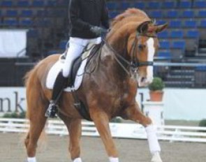 Japanese Hiroshi Hoketsu did not attend the 2008 Japanese Dressage Championships in Miki, Japan, but was preparing Whisper for the CDI Stuttgart in Germany with his trainer Ton de Ridder.