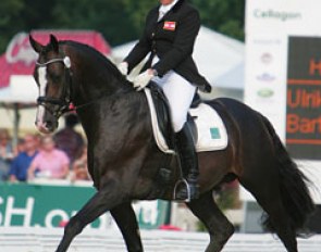 Ulrike Prunthaller and the 5-year old Calaccio at the 2008 World Young Horse Championships in Verden :: Photo © Astrid Appels