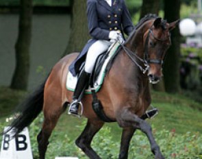 Robin Beekink on Pablo