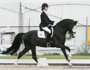 Dutch Danielle Houtvast on the beautifully marked Domino