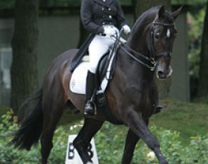 Dutch Fieke Houwen on the former Grand Prix horse Ferrolan (by Ferro)