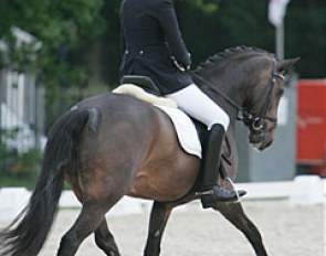 Denise Nekeman on Hoby