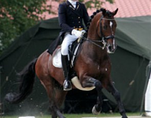 A drop dead gorgeous horse: Nourejev, ridden by Laurens Sliepenbeek