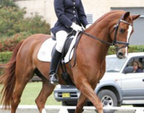 Victoria Welch on Washington at the 2008 CDI Sydney :: Photo © Berni Saunders