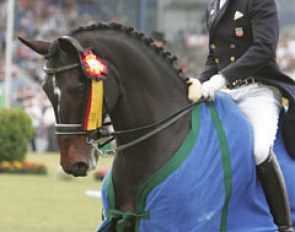 Steffen Peters and Ravel, Grand Champions of 2009 CDIO Aachen :: Photo © Astrid Appels