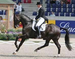 What a hindleg!! Anne van Olst's Dutch warmblood Taikoen (by Negro) has a super charged engine behind!