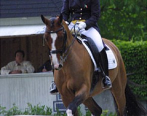Judy Reynolds and Remember at the 2009 CDI Achleiten