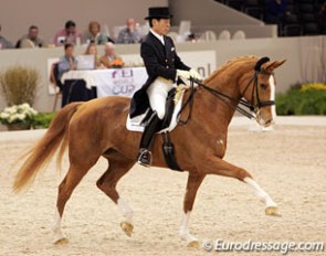 Whisper at the 2009 CDI-W 's Hertogenbosch