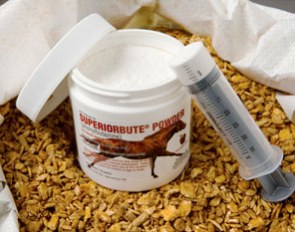 Phenylbutazone (also known as "bute") is the most used painkiller for horses