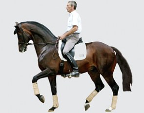 Jorgen Olsen on the Danish warmblood Grand Prix stallion Milan