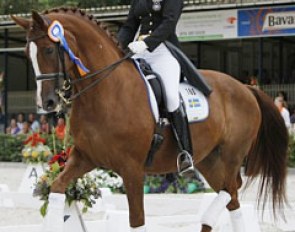 Bergstrom Kallstrom and Garcia at the 2009 European Junior and Young Riders Championships :: Photo © Dirk Caremans