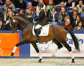 Judith Ribbels presenting Ampere under saddle at the 2009 KWPN Stallion Licensing :: Photo © Dirk Caremans