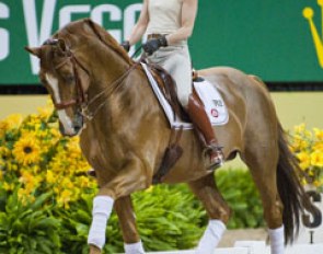 This elegant pair was looking great in the main ring. Swedish duo Minna Telde and the Hanoverian stallion Don Charly (by Don Gregory) will be riding their first World Cup Finals