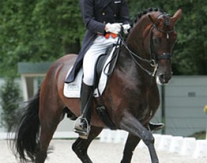 Hans Peter Minderhoud and Florencio at the 2009 CDIO Rotterdam :: Photo © Astrid Appels