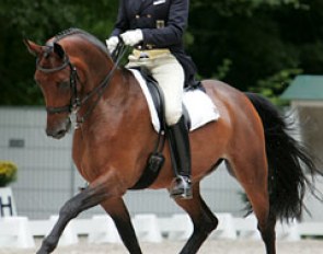 Christoph Niemann on Ravienne at the 2009 CDIO Rotterdam :: Photo © Astrid Appels