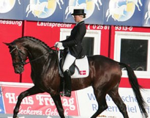 Anna Blomgren and Laetare at the 2009 World Young Horse Championships :: Photo © Astrid Appels