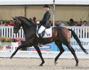 Anna Blomgren on Andreas Helgstrand's Laetare. This horse entered the competition via a wildcard. The German Equestrian Federation and Dutch/KNHS federation were both given one wild card. Germany chose Laetare, Holland Zimba
