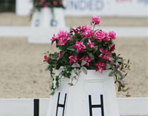 Arena letters at the 2009 European Championships :: Photo © Astrid Appels