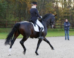 Anouck Hoet wearing a neck collar while preparing Wild Diamond for competition. Trainer Wim Verwimp supervises