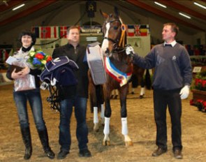 Skydiver (by Sancisco x Wind Dance) became the 2009 Mecklenburg Licensing Champion in Redefin
