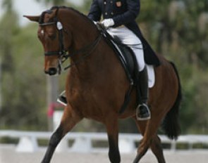 Chris Hickey and Cabana Boy at the 2009 Palm Beach Dressage Derby :: Photo © Mary Phelps