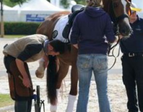 Belgian Julie de Deken won both Under 25 Grand Prix classes with Fazzino. Unfortunately the Westfalian pulled a shoe right before the prize giving and the organization had no time to wait for him to be part of the glorious ceremony. Pity
