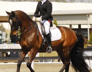 Kathryn Butt aboard her Dutch warmblood Kajan (by Elcaro)