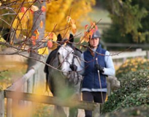 A French working student leads an Andalusian to the outdoor arena