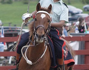 Akaash Maharaj attending the 2006 Uxbridge Horsemen's Association fair on behalf of the Governor General's Horse Guards, and demonstrating equestrian skill-at-arms.