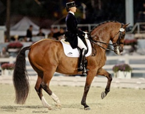 Shawna Harding and Come On III (by Come Back II) at 2010 Dressage at Devon :: Photo © Sharon Packer