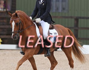 Doppelspiel has been leased to a pony rider for one season