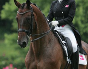 Rikke Bollingtoft and Finale at the 2010 European Young Riders Championships in Kronberg :: Photo © Astrid Appels