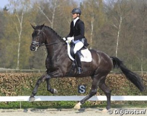 Stephanie de Ruiter and Zico (by Riant x Ferro) participated in the 2010 Dutch WCYH selection trials in Ermelo :: Photo © Digishots.nl