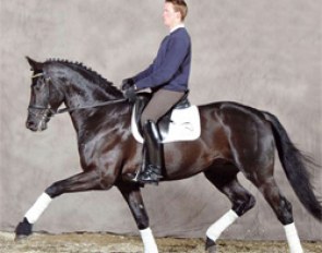 Lord Laurie (by Lord Loxley x Lauries Crusador xx)