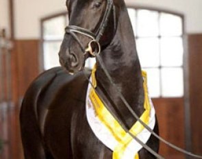 Sankt Moritz Junior (by St. Moritz x Wie Weltmeyer)