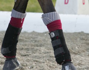 No head protection for the riders, but QUADRUPLE protection for the horses' legs!