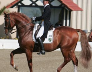Twelve combinations qualified for the finals' test through the warm up round. Petra Wilm and the Holsteiner Almoretto placed 12th in that Finals' class, a young Grand Prix horse test.