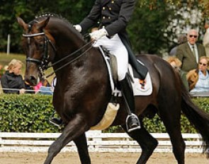 Danny Bartel and Occacio at the 2010 Trakehner Championship in Hanover :: Photo © Jutta Bauernschmitt
