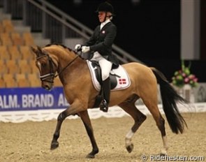 Caroline Bording Smidt and PSW Desperado :: Photo © Ridehesten.com