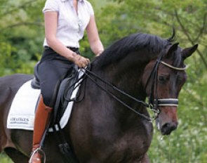 The ride is finished and the pair walks through the grass back to the barn