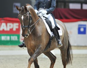 Amy Stovold and Macbrian at the 2010 CDI Salzburg :: Photo © Rainer Dill