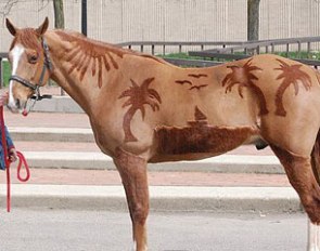 Need inspiration for clipping your horse?