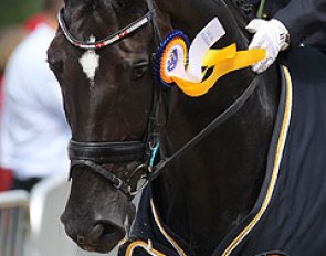 UNO Donna Unique, 2010 World Young Horse Champion :: Photo © Astrid Appels