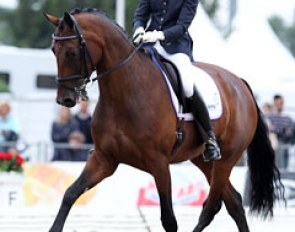 Annarein Kerbert on one of the most talented Dutch horses at the World Championships: Zolena (by Sir Sinclair x Cabochon). The mare is huge and the 18-year old looks tiny on her but she definitely did her best and got 8.04